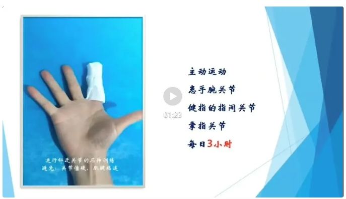 指尖上的藝術(shù)——斷指再植術(shù)后注意事項及康復訓練指導