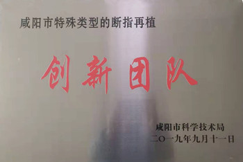 咸陽(yáng)市特殊類(lèi)型的斷指再植創(chuàng)新團(tuán)隊(duì)