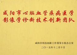 咸陽市心腦血管疾病醫(yī)學(xué)影像學(xué)診斷技術(shù)創(chuàng)新團隊