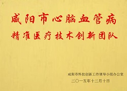 咸陽市心腦血管病精準(zhǔn)醫(yī)療技術(shù)創(chuàng)新團隊